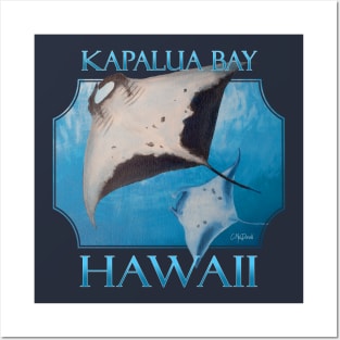 Kapalua Bay Hawaii Manta Rays Sea Rays Ocean Posters and Art